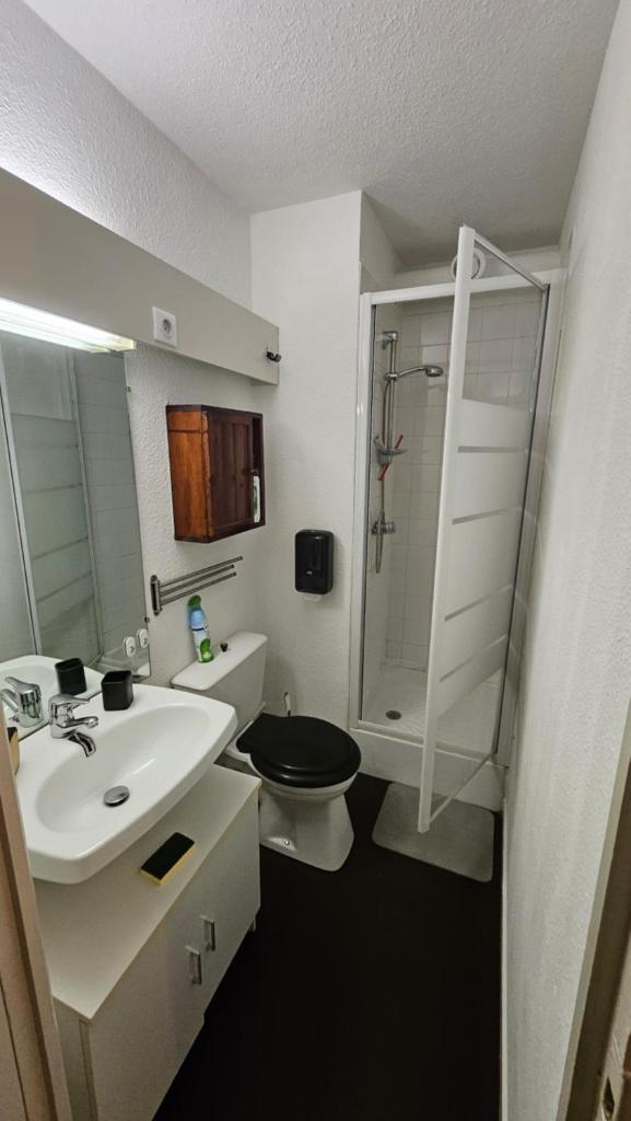une salle de bain avec un lavabo, des toilettes et une douche dans l'établissement Studio Le Cérétou - La Mongie Tourmalet, à Bagnères-de-Bigorre
