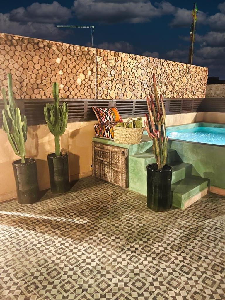 - une piscine avec 3 plantes en pots à côté dans l'établissement Riad dar darcom, à Marrakech 37 autres photos