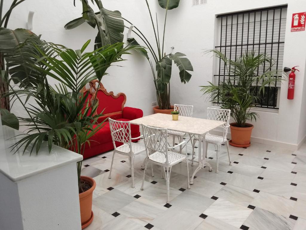 Casa Palacio La Lola y Olé Gran Terraza 7