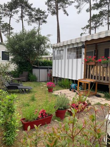 Photo de la galerie de l'établissement Mobilhome tout confort 40 m2 pour 4 personnes, à Saint-Julien-en-Born