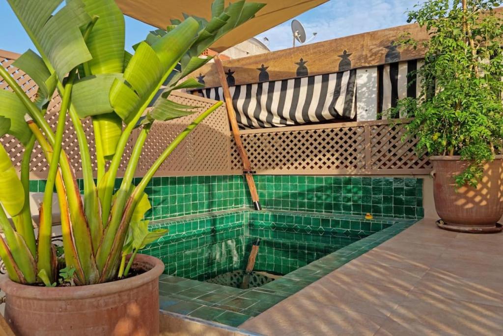 - une piscine sur un balcon orné de plantes dans l'établissement Riad Ouladi -Exclusif - 5mn Jemaa El Fnaa -Pool, à Marrakech