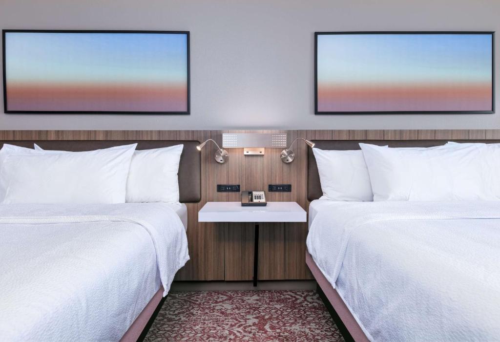 Hilton Garden Inn Dallas Arlington Image