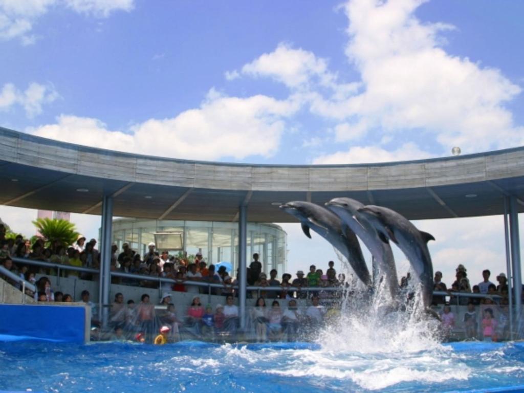 une fontaine de dauphins dans l'eau devant une foule dans l'établissement Kannawaso, à Beppu