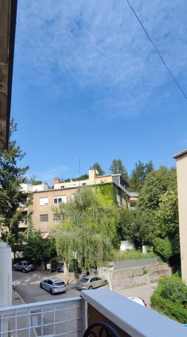 Authentic Zagreb 6