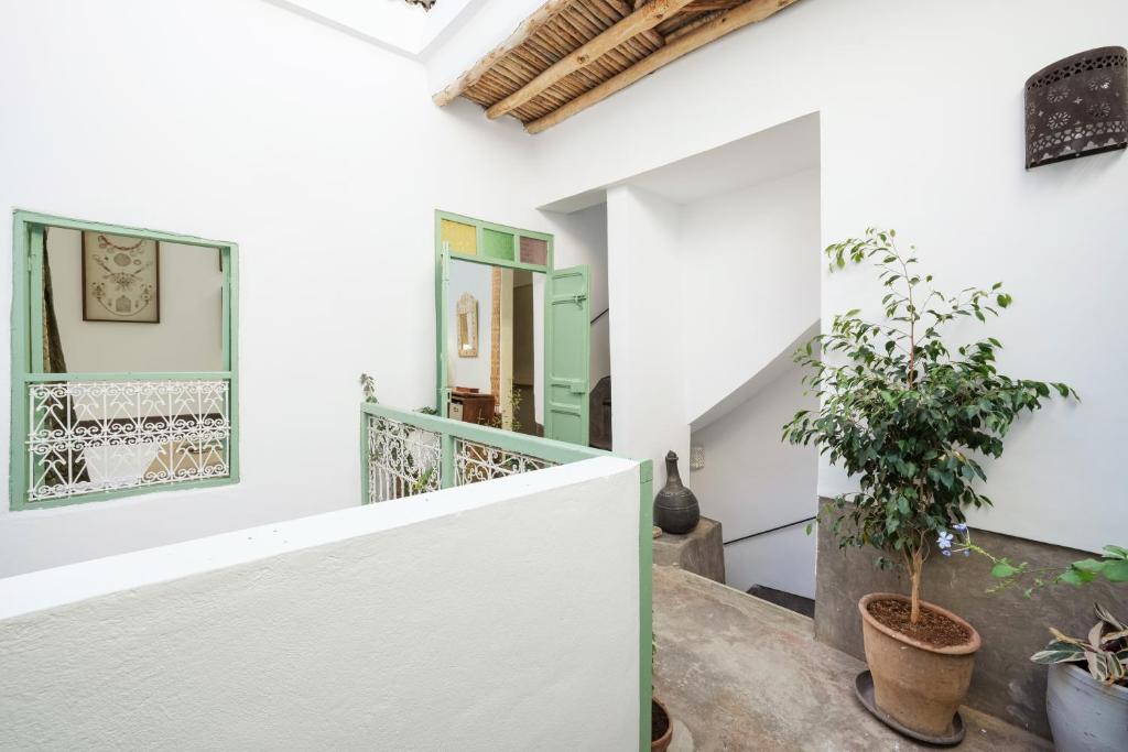 un escalier dans une maison avec une plante dans l'établissement Riad Ghita Exclusif 15 min de Jemaa El Fnaa, à Marrakech