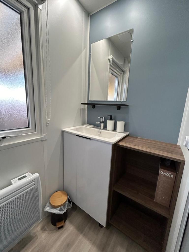 une salle de bain avec un lavabo et un miroir dans l'établissement Le Paradis du Rhône - mobilhome moderne et confortable, à Condrieu 23 autres photos