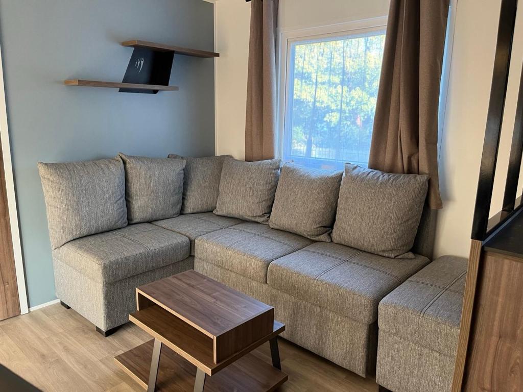 un salon avec un canapé et une table dans l'établissement Le Paradis du Rhône - mobilhome moderne et confortable, à Condrieu