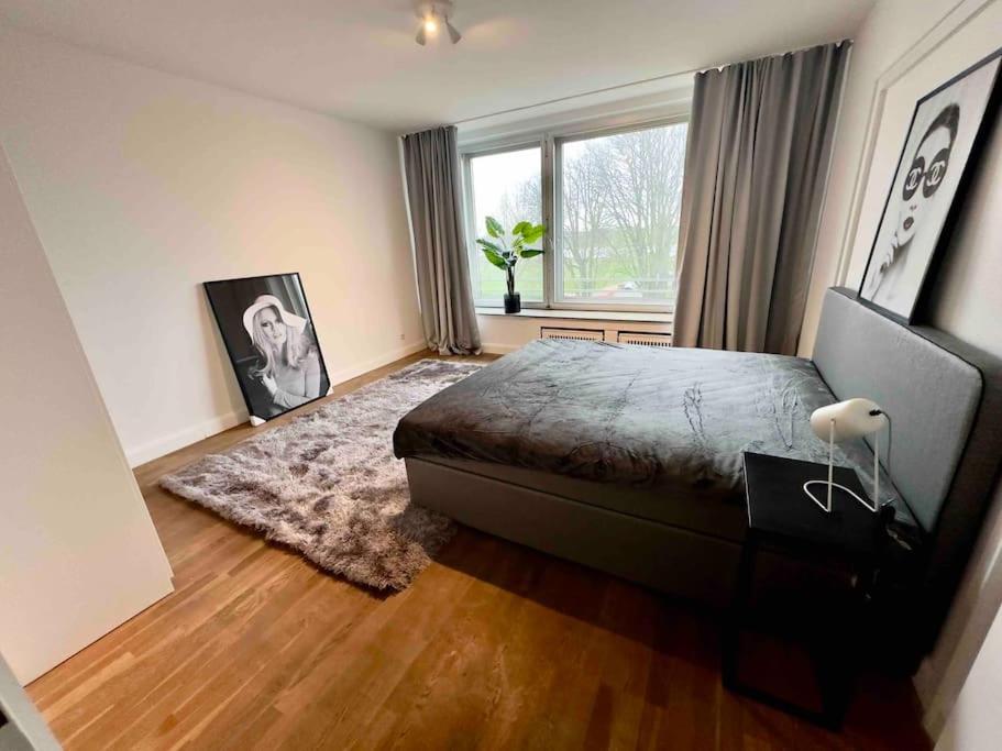Spectecular Rhineview Fair Parking Luxury 12 Pers 2