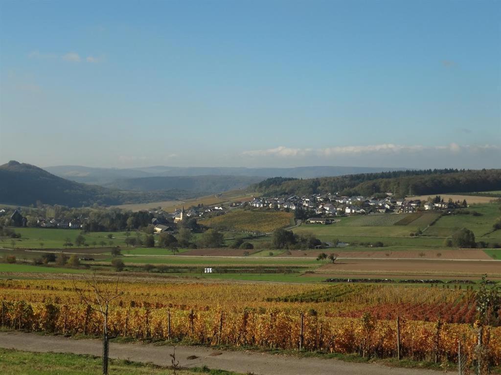 Weingut-Ferienwohnung Jungblut - nur Urlaubsgäste 7