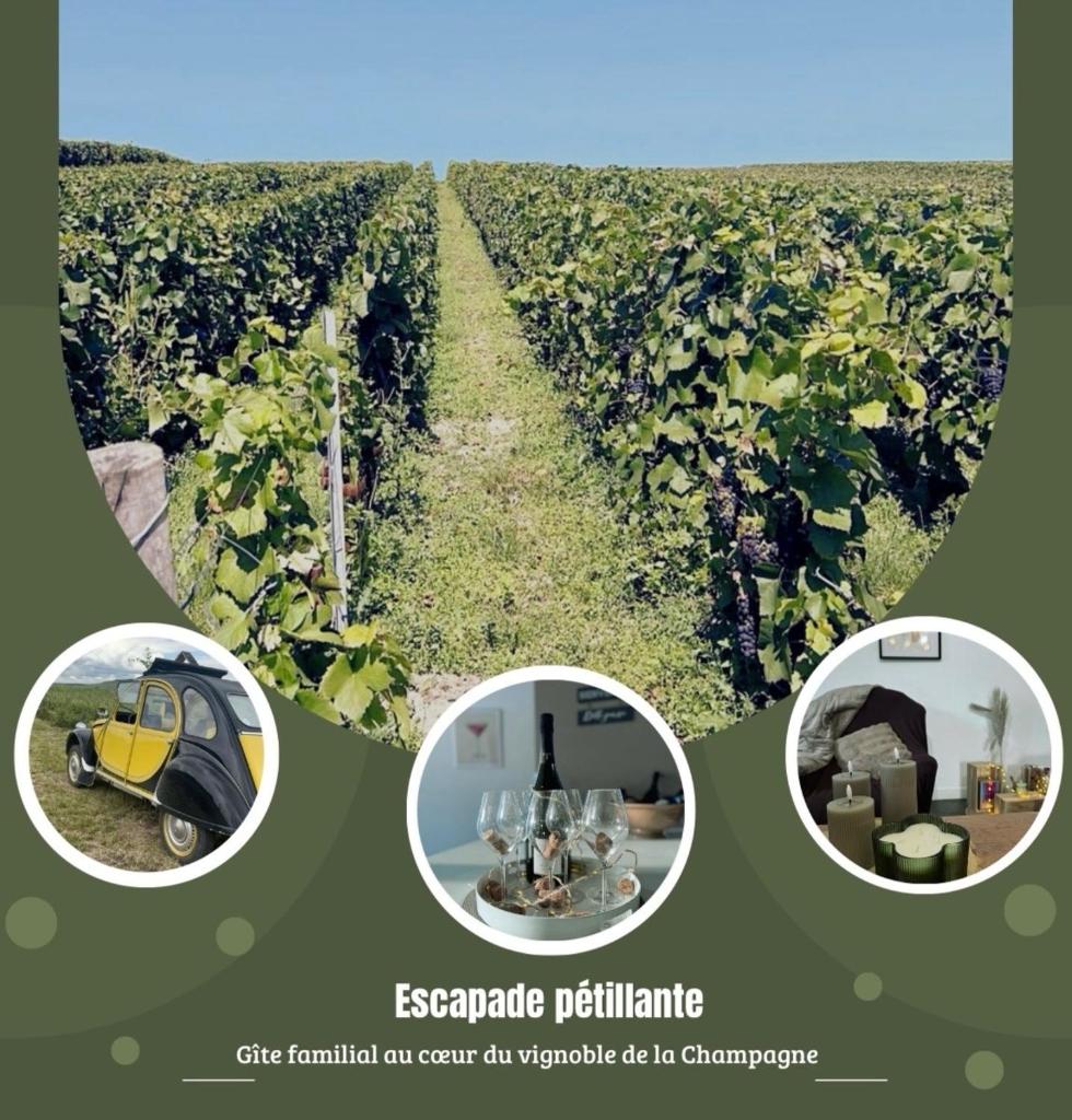 Gîte familial dans le vignoble champenois 1