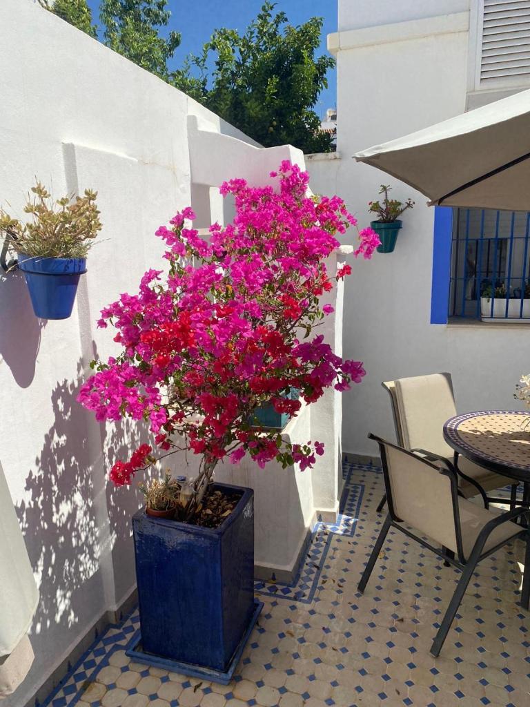 Casa San Miguel