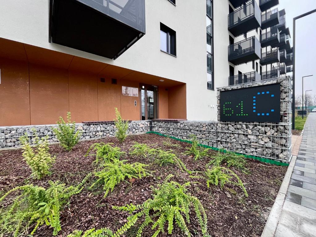 Holdek Apartamenty Ceglana 5