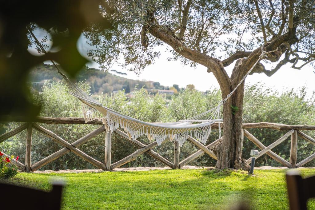 un hamac suspendu à un arbre à côté d'une clôture dans l'établissement Villa dei Golfi, à SantʼAgata sui Due Golfi 87 autres photos
