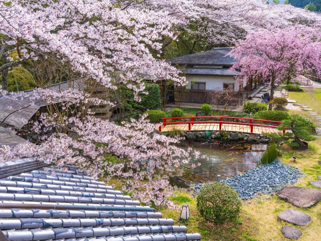 un cerisier avec des fleurs roses et un banc rouge dans l'établissement Oukai Villa Izumi, à Izumi