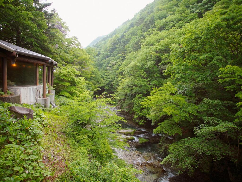 une rivière au milieu d'une forêt dans l'établissement Hana to Hana, à Nikkō