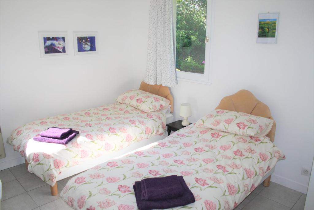 une chambre avec deux lits et une fenêtre dans l'établissement Wisteria Gite, à Asnières-sur-Vègre