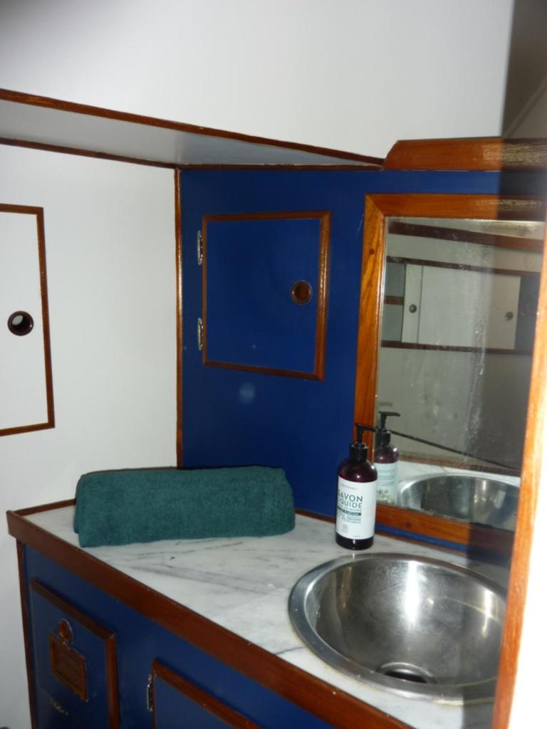 une salle de bain avec un lavabo et un miroir dans l'établissement Bateau PAPAYE, à Sète
