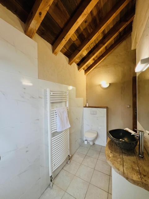 une salle de bain avec un lavabo et des toilettes dans l'établissement Nordique Symbiose, à Chapelle-des-Bois 37 autres photos