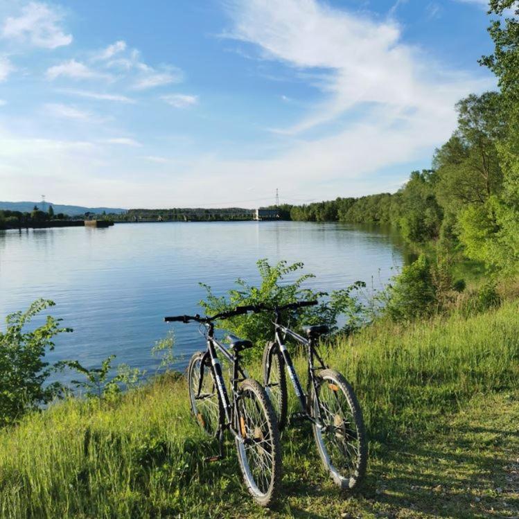 un vélo garé dans l'herbe à côté d'un lac dans l'établissement Camping de Thoissey, à Thoissey