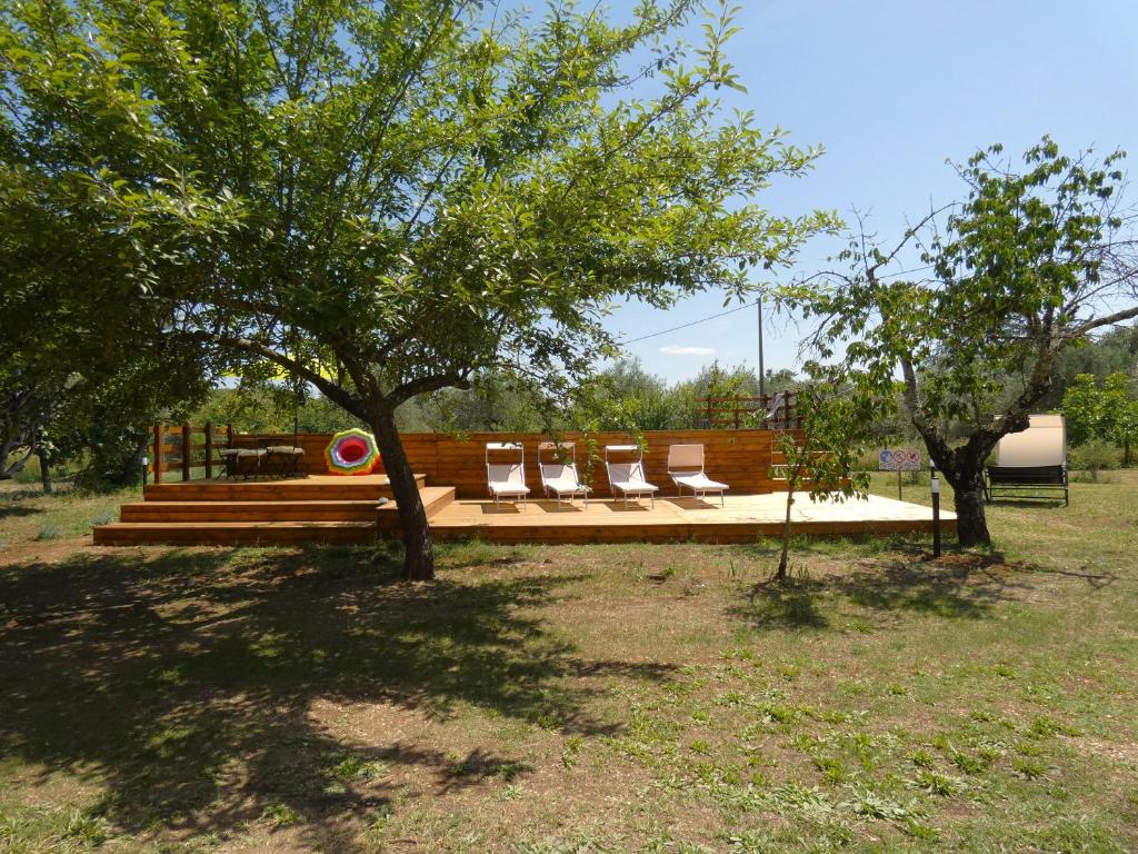 un banc avec des chaises blanches sous un arbre dans l'établissement SCAPPO IN UMBRIA, Felicità 14a, à Giove