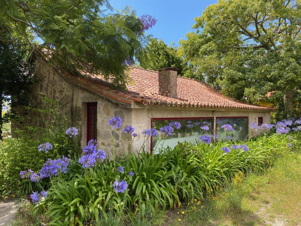 Quinta da Boa Viagem 6