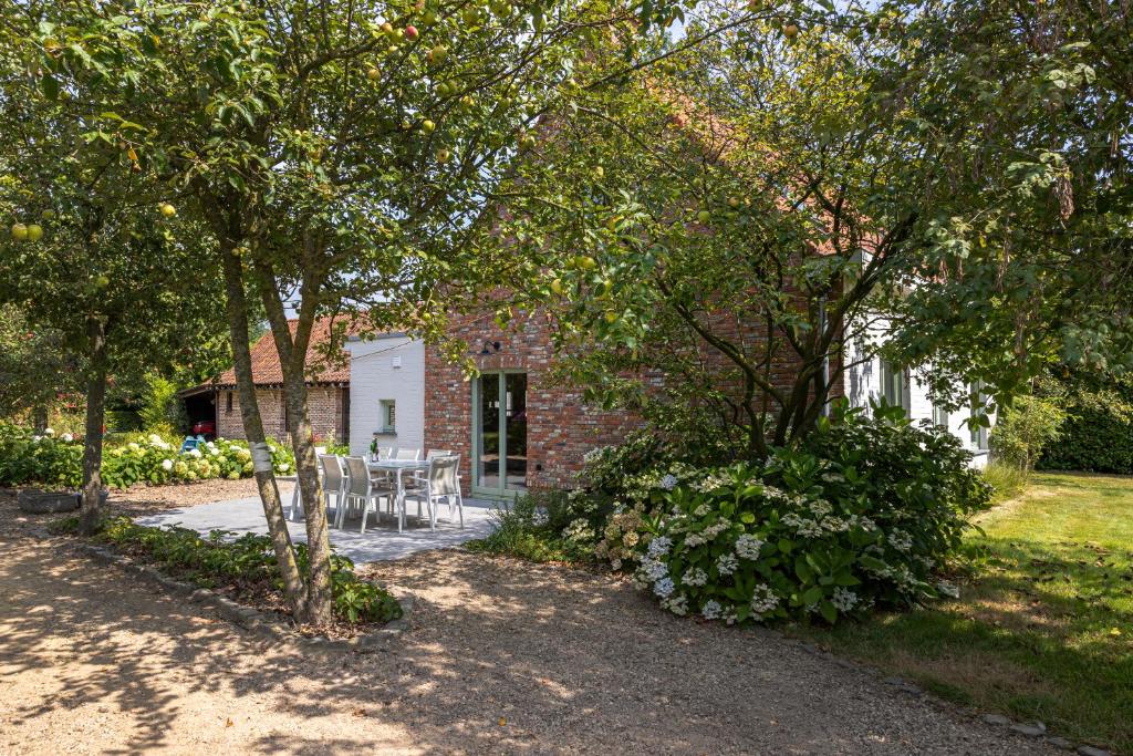 't Jongehof 6