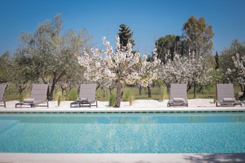 une piscine avec des chaises et un arbre avec des fleurs blanches dans l'établissement TD Marlù Luxury Trulli Experience with Stunning Pool, à Castellana Grotte