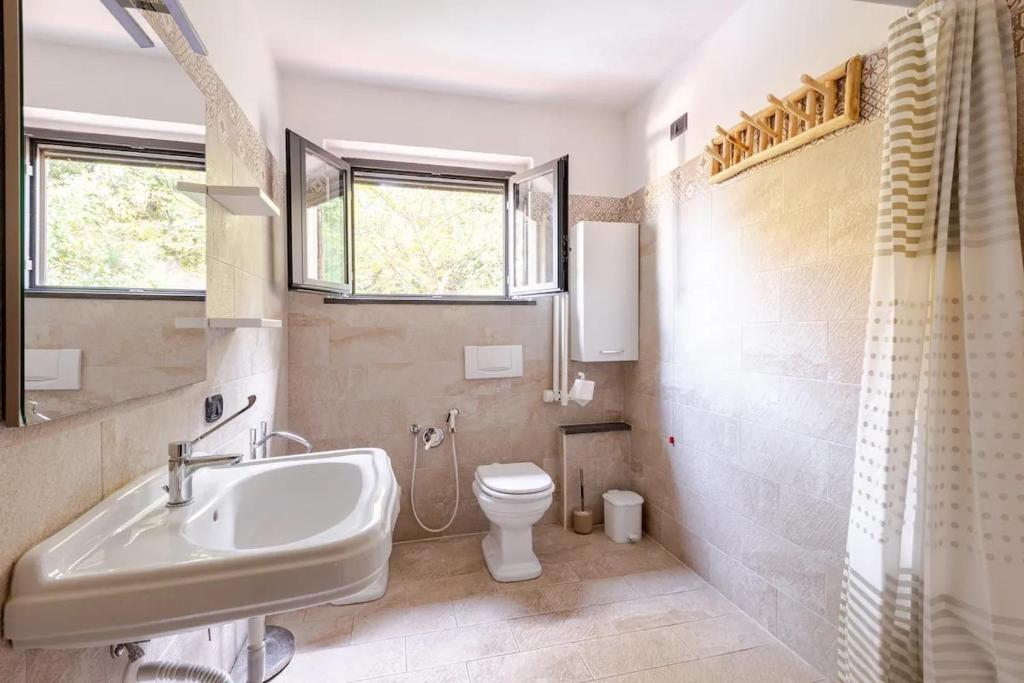 une salle de bain avec un lavabo et des toilettes dans l'établissement AgriHouse Orvieto, à Morrano
