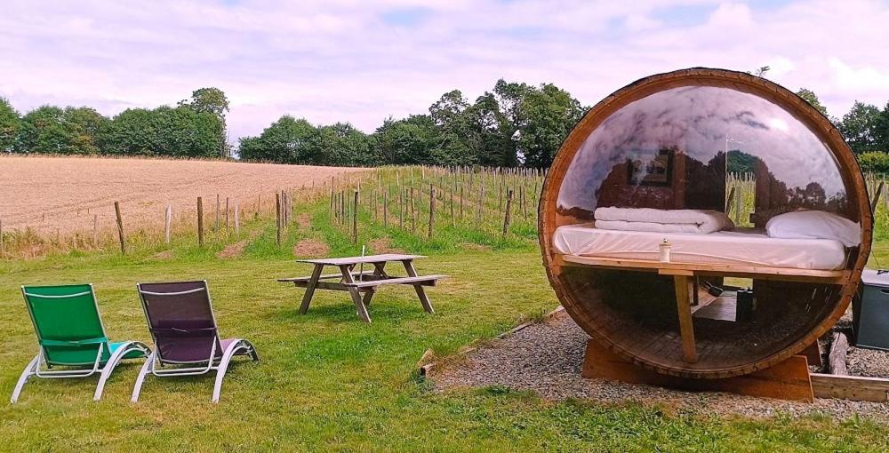un lit, deux chaises et une table dans un champ dans l'établissement Tonneau bulle insolite, vue sur vignoble, à Pouldergat