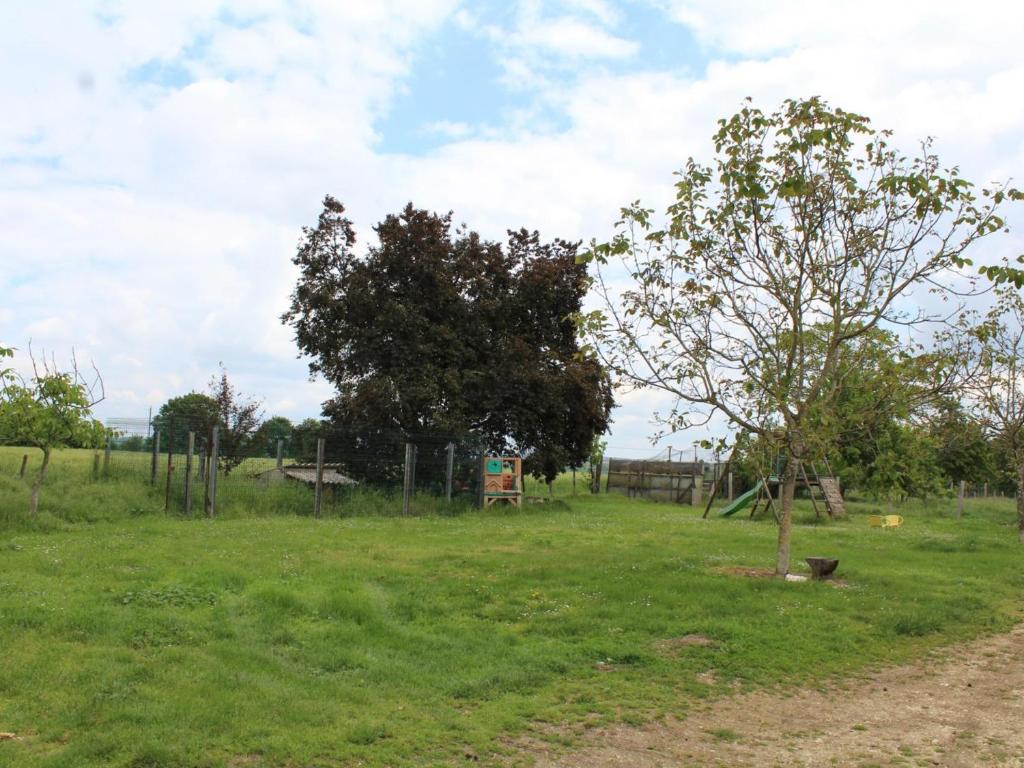 un arbre au milieu d'un champ dans l'établissement Gîte périgourdin avec piscine partagée, cheminée et animaux admis près de Bergerac - FR-1-616-416, à Naussannes