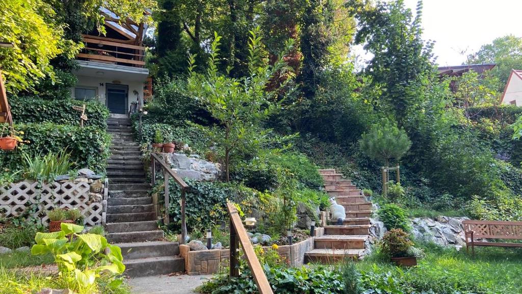 Tiny Forest Apartment 5