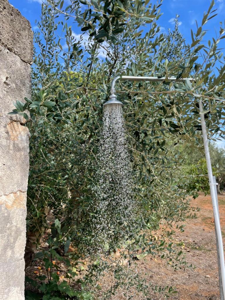 Photo de la galerie de l'établissement La Casa del Mandorlo, à San Pietro in Bevagna