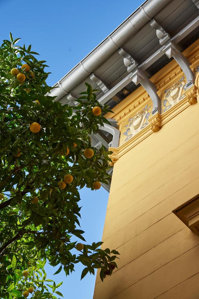 Maison des Barons 3