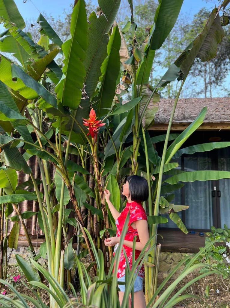 An Nhiên House Bắc Hà