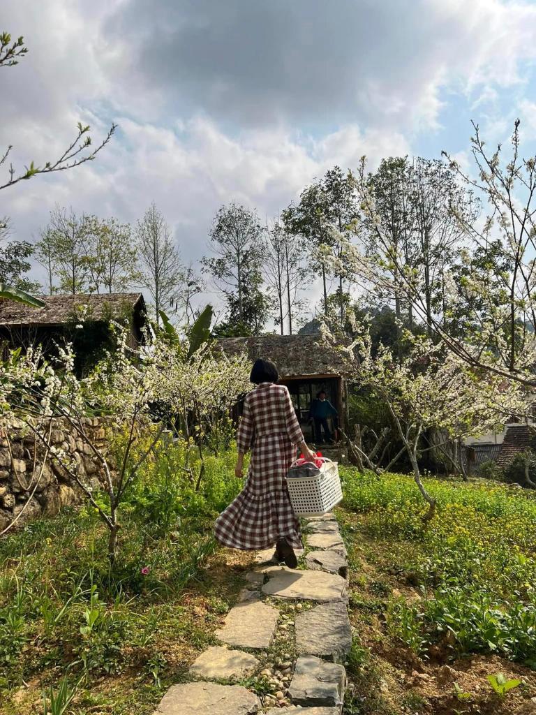 An Nhiên House Bắc Hà