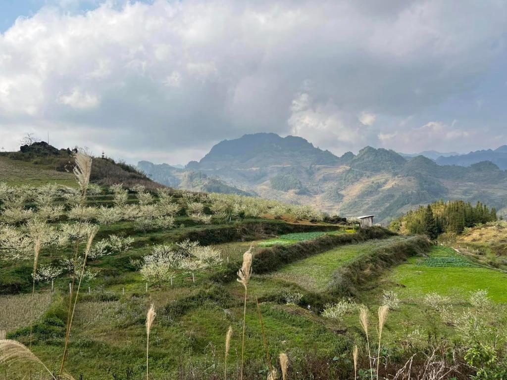 An Nhiên House Bắc Hà