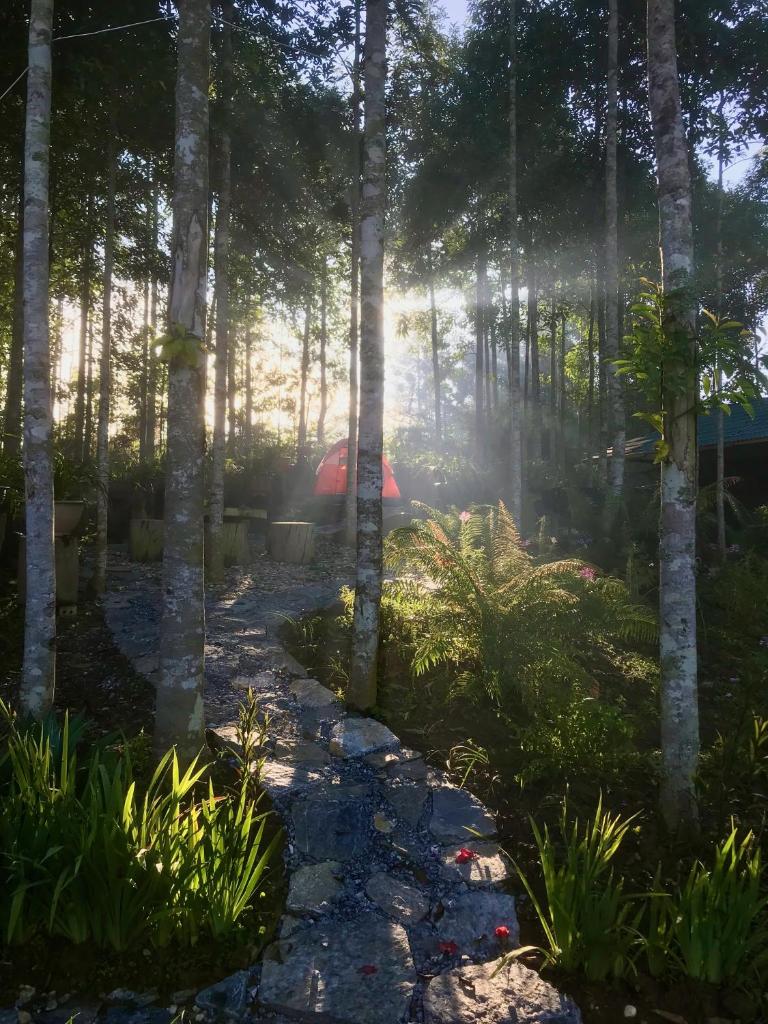 An Nhiên House Bắc Hà