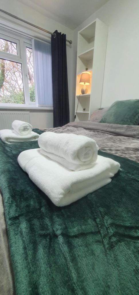The Coral Suite - 2 Bedroom Apartment with 5G Wi-Fi in Lakeside, Cardiff minutes from Roath Park Lake 7