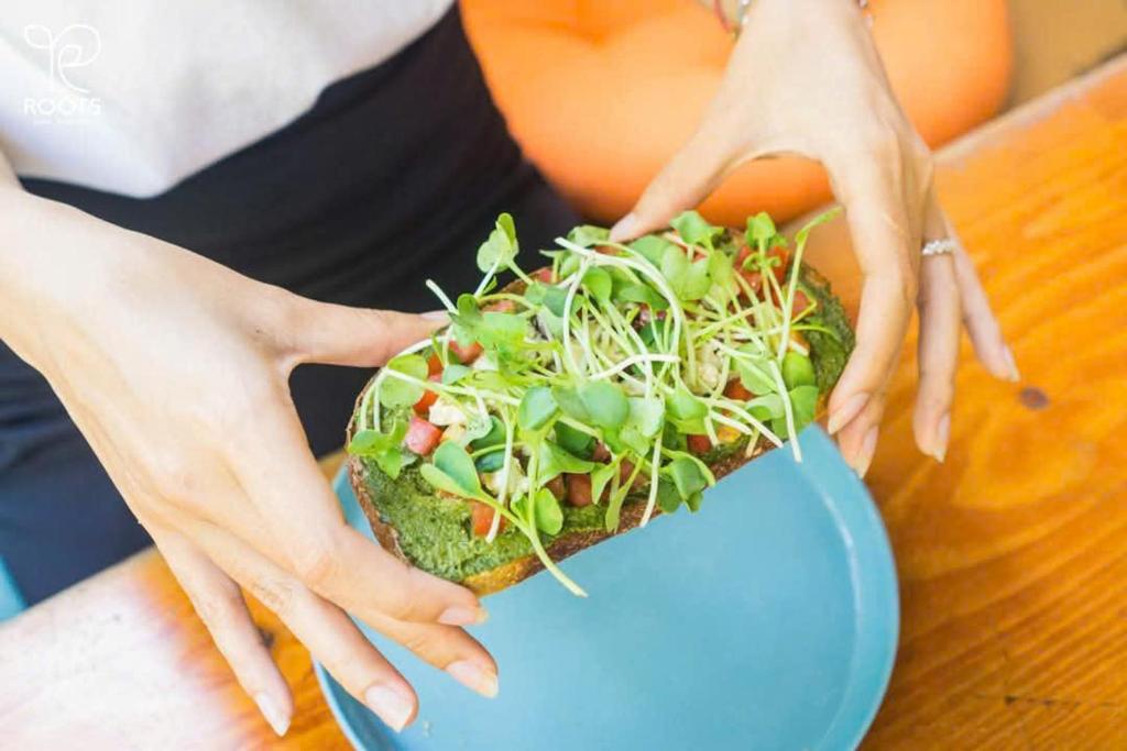 Leaf Sustainable Hostel