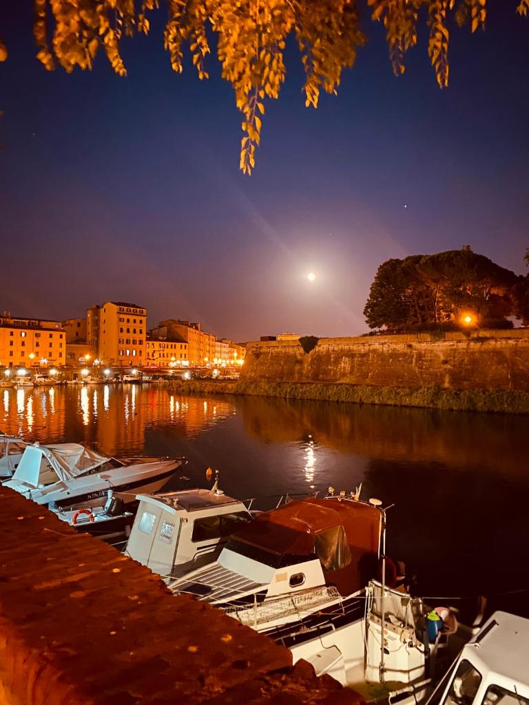 Raggio di sole 6