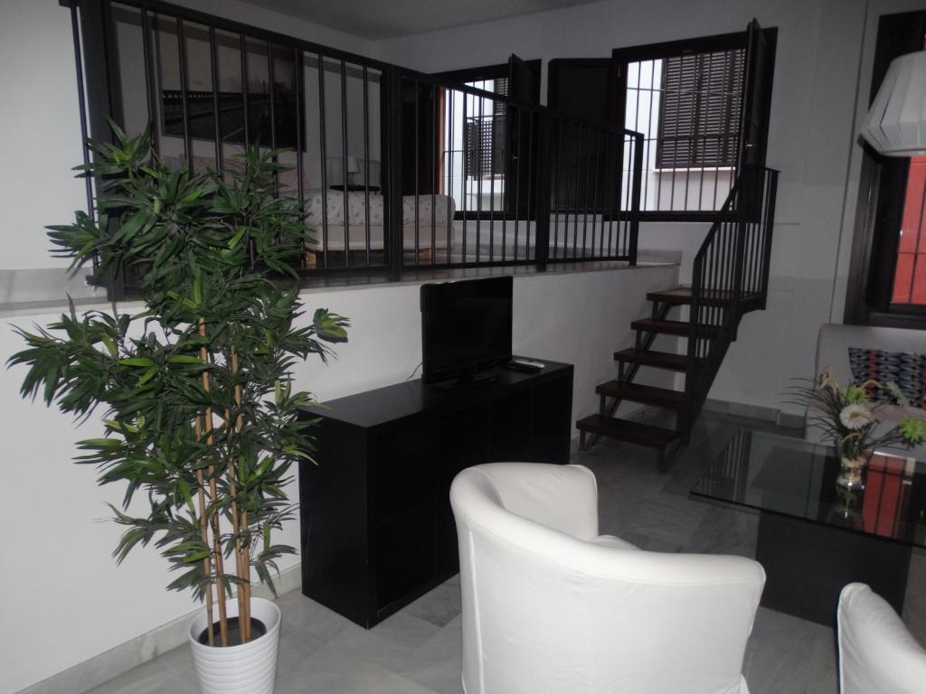 Málaga Apartamentos - Jinetes, 13 6