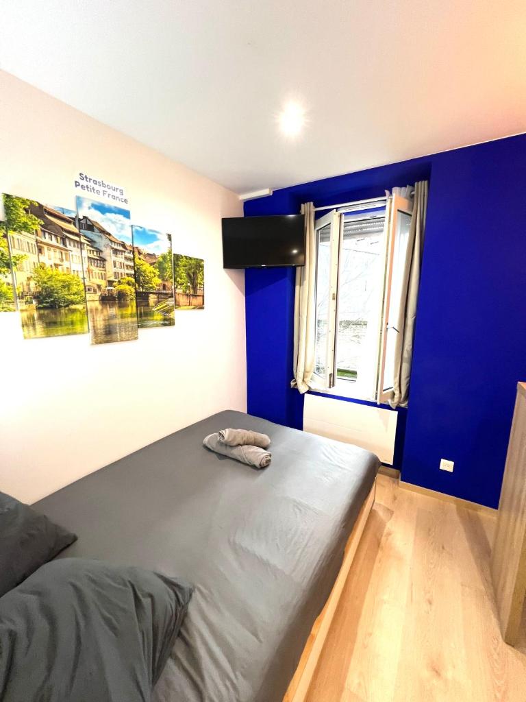 Suite 1 - Strasbourg Gare - Petite France - Commerces à Proximité 7