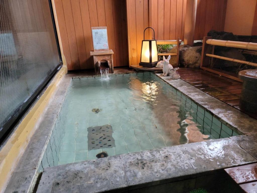 un bassin d'eau avec un chat assis dans l'établissement Hanaichi, à Tsumagoi