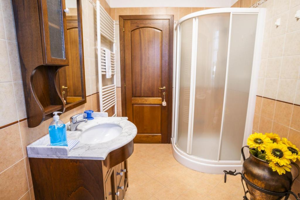 une salle de bain avec un lavabo et une douche dans l'établissement Villa Patty, à Castelnuovo