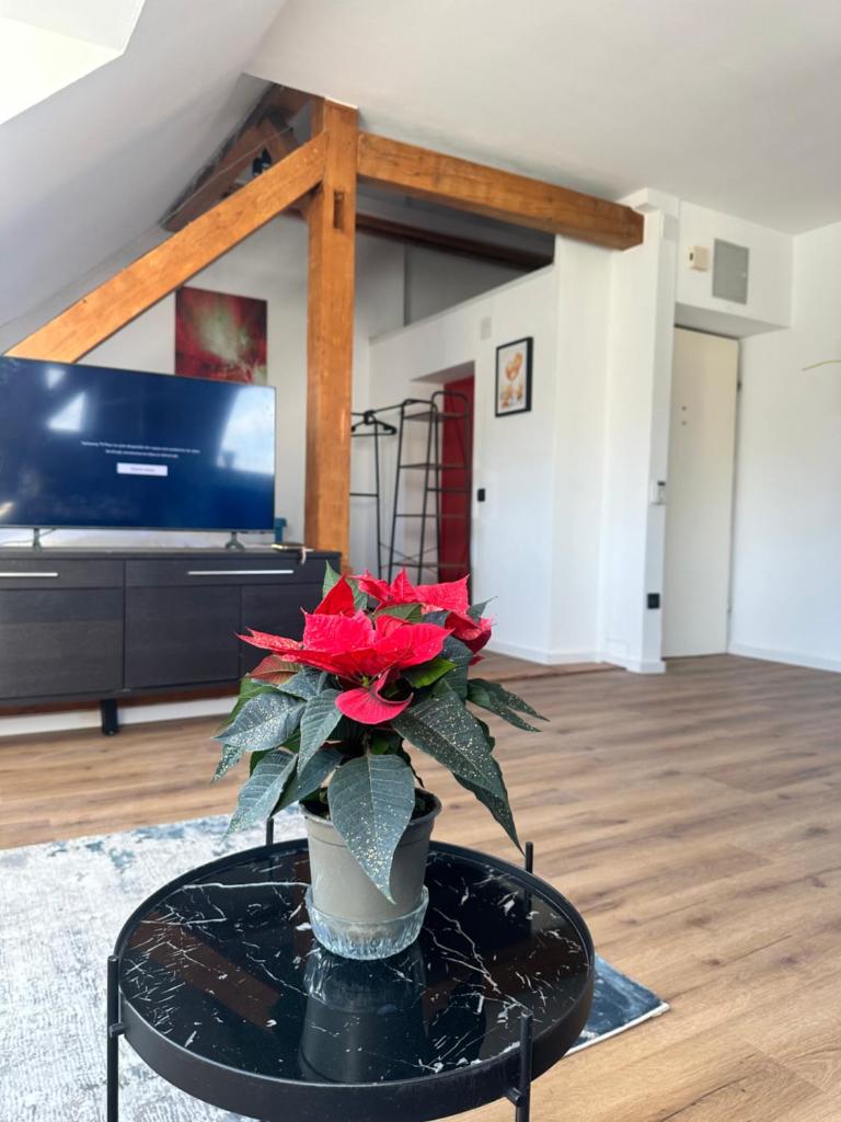 Apartament Salzburg mit Untersberg Ausblick 1