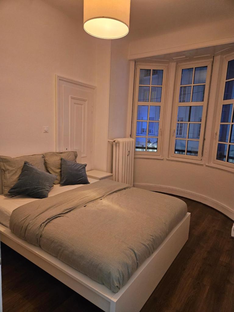 Superbe appartement 140 m2 plein centre-ville de Strasbourg 7
