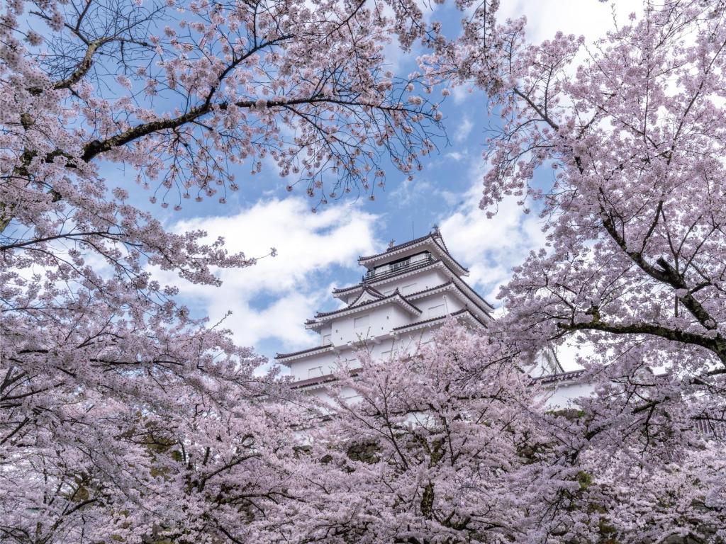 un grand bâtiment avec des arbres akura devant lui dans l'établissement Villa Inawashiro, à Inawashiro