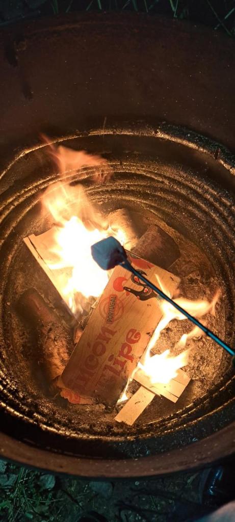 Un feu dans un pot avec un bâton. dans l'établissement Cottage flottant Saint Jean de Losne option jacuzzi, à Saint-Jean-de-Losne
