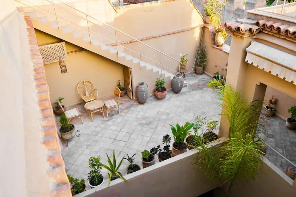 - une vue sur la cour agrémentée de plantes en pot dans l'établissement Dar Chamss, à Taroudant