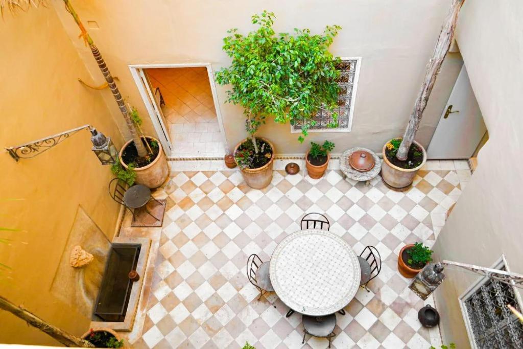 une vue de tête sur une table et des plantes en pot dans l'établissement Dar Chamss, à Taroudant